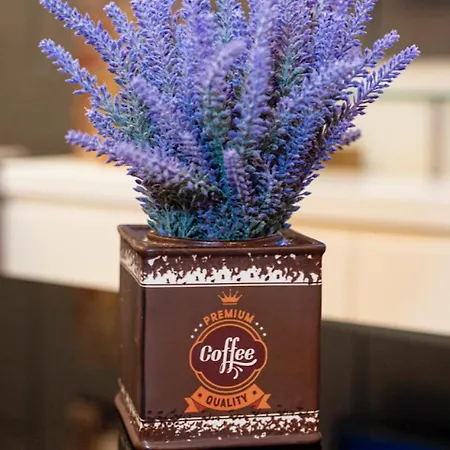 Hotel Vila Tirana Szálloda 3*