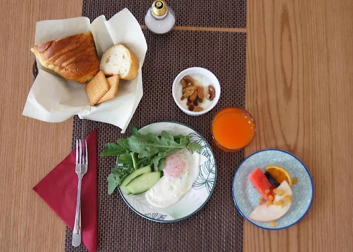 Hotel Vila Tirana מלון 3*