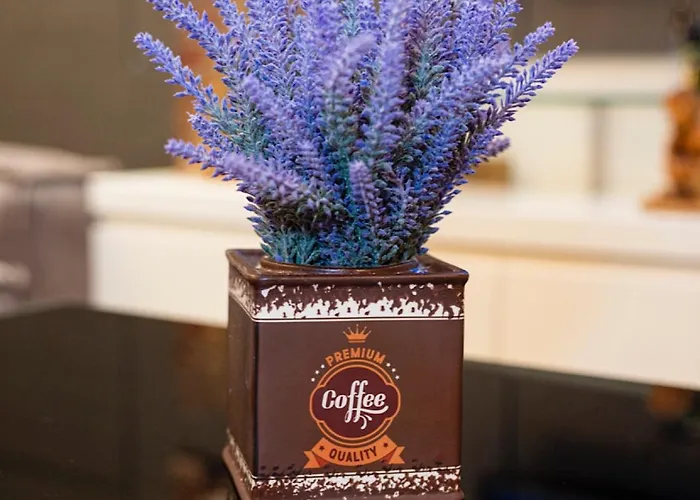 Hotel Vila Tirana מלון 3*